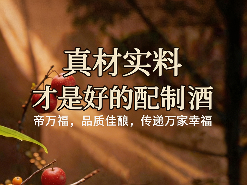 帝万福宁波运营中心简介